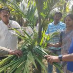 ಜಿ. ಕೆ. ವಿ. ಕೆ. ವತಿಯಿಂದ ಪ್ರಾತ್ಯಕ್ಷಿಕೆ ಕಾರ್ಯಕ್ರಮ